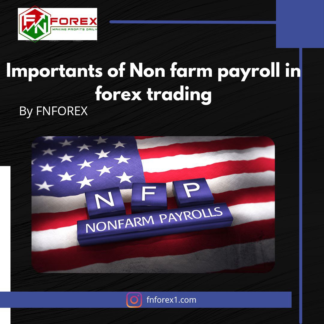 Maximizing Your Profits With Nfp Understanding The Importance Of Non