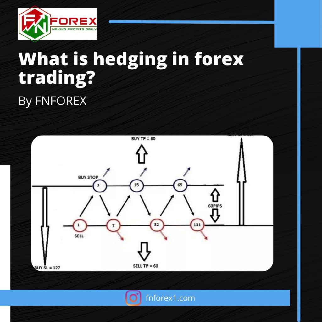 What is forex hedging?